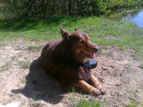 maj 2011 Stefan i labek córki Wioli