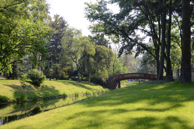 Park w Żelazowej Woli w którym znajdują się rzadkie okazy drzew, krzewów.