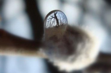 #KroplaWody #natura #obrazy #PRZYRODA #WOKRUCHACHZIMY #wiosna #ODBICIE