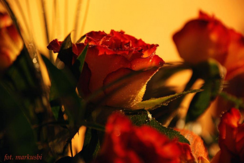 Nie ma jak to mieć urodziny zaraz po imieninach....dla żonki #kwiaty #róże