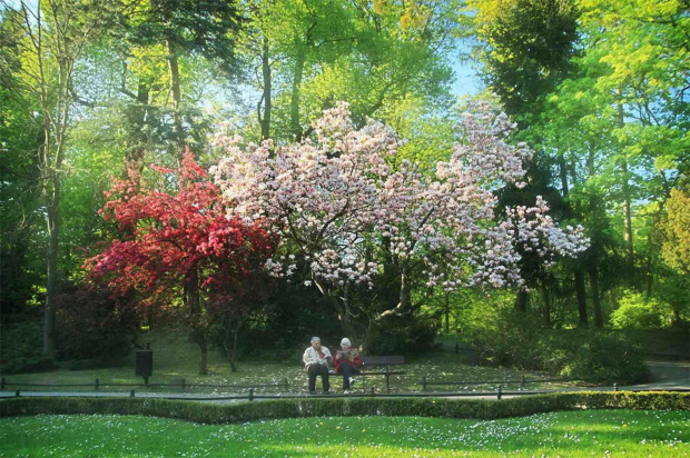 Pod kwitnącym drzewem #odpoczynek #Park