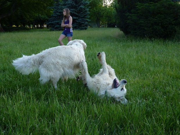 Brutus i Duffel, Park Bródnowski, 2011