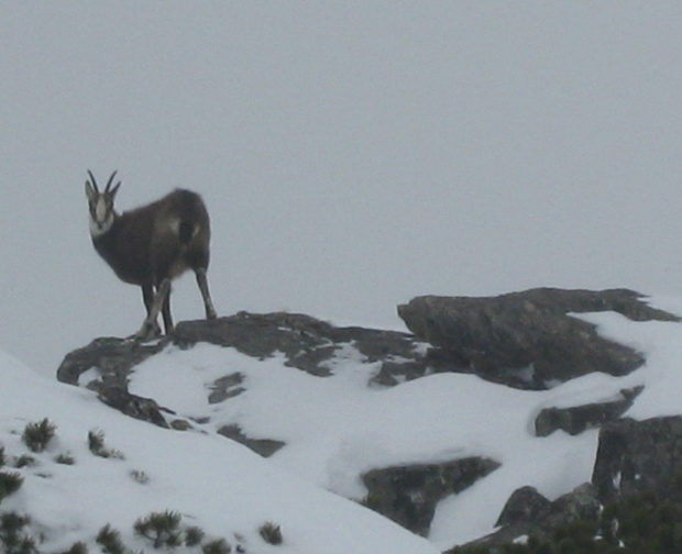 Tatry Słowackie