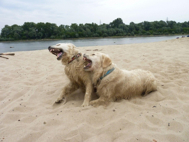 Brutus i Duffel, Wisła, czerwiec 2011