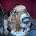 axel