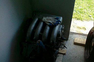 czeka na lepsze czasy #ABF