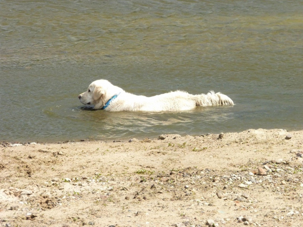 Brutus, Wisła, czerwiec 2011