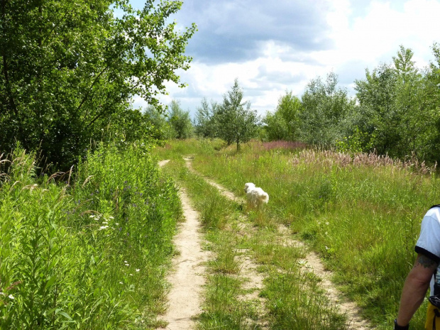 Wisła, czerwiec 2011