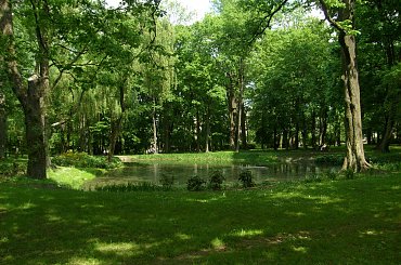 Staw w białostockich Plantach #planty #Białystok