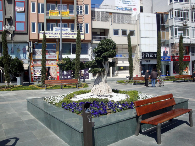 Antalya - Bonsai #Turcja #Antalya #Manavgat #Perge #Pamukkale #Hierapolis