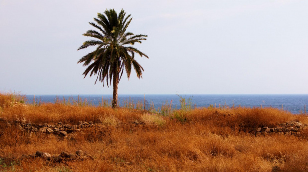czerwiec-lipiec Liban #Beirut #wakacje #morze