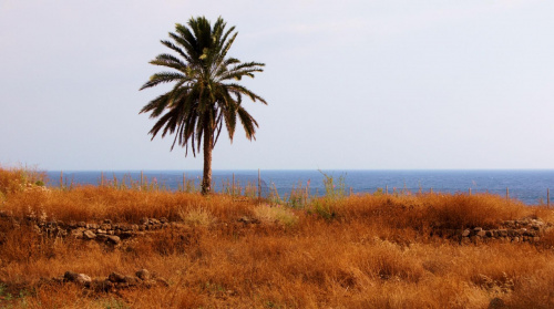 czerwiec-lipiec Liban #Beirut #wakacje #morze