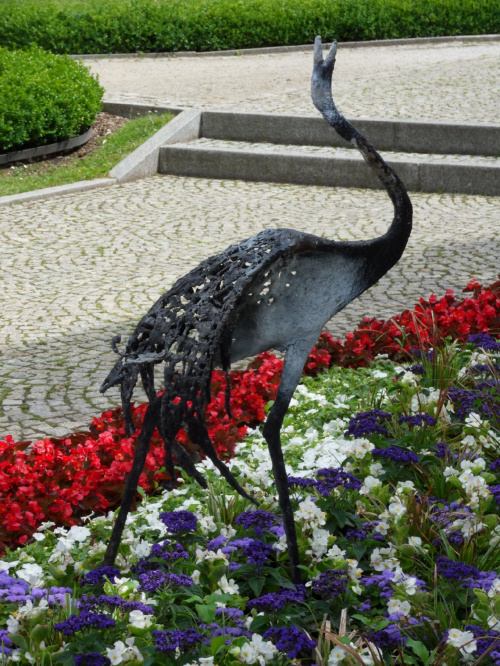 Na kwiatowych klombach w Kudowie można spotkać również ptaki :) #KudowaZdrój #kwiaty #park #uzdrowisko