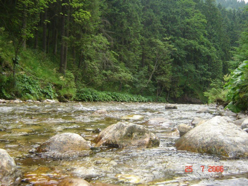Rzeczka w Tatrach #rzeka #góry #Tatry #woda