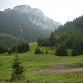 Krajobraz górski w Tatrach #GóryTatry #przyroda