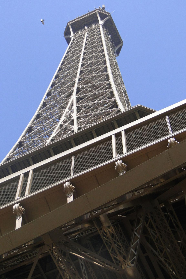Wieża Eiffla #WieżaEiffla #Paryż