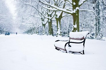 zima #jesień #kaczka #lato #moda #morze #portret #wakacje #wiosna #zima