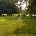 Park Berlin drzewka